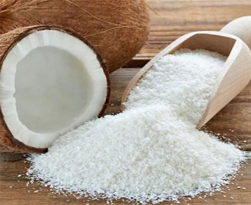 COCONUT LOW FAT FINE GRADE